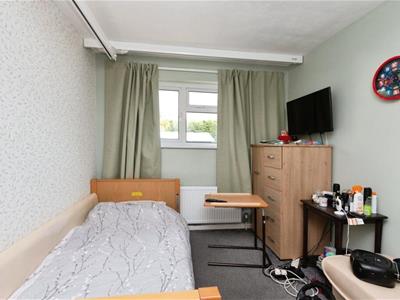 Picture 7